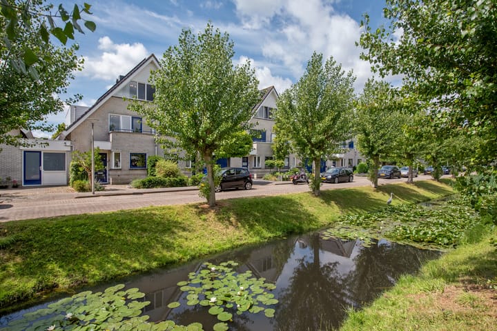 Foto 35 van Pinksterbloem 17