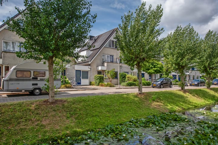 Foto 36 van Pinksterbloem 17