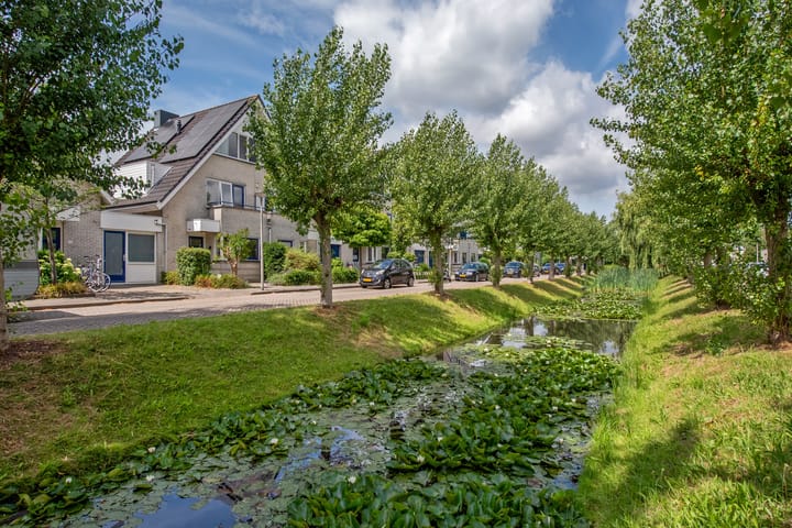 Foto 37 van Pinksterbloem 17