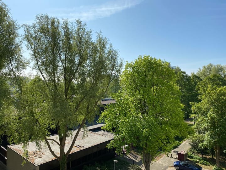 Foto 14 van Van Boshuizenstraat 519