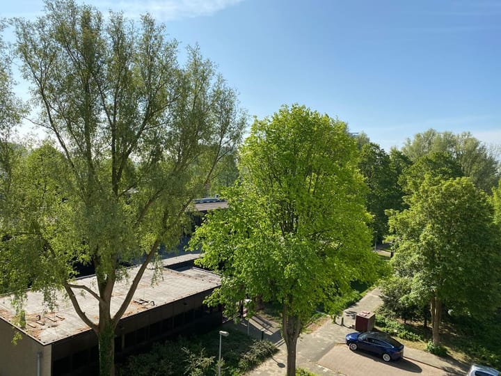 Foto 17 van Van Boshuizenstraat 519