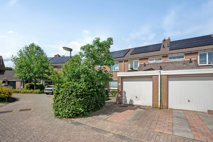 Photo 7 of Boterbloem 10