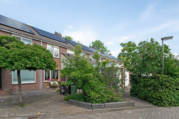 Photo 8 of Boterbloem 10