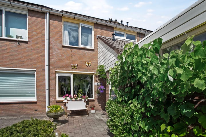 Photo 9 of Boterbloem 10