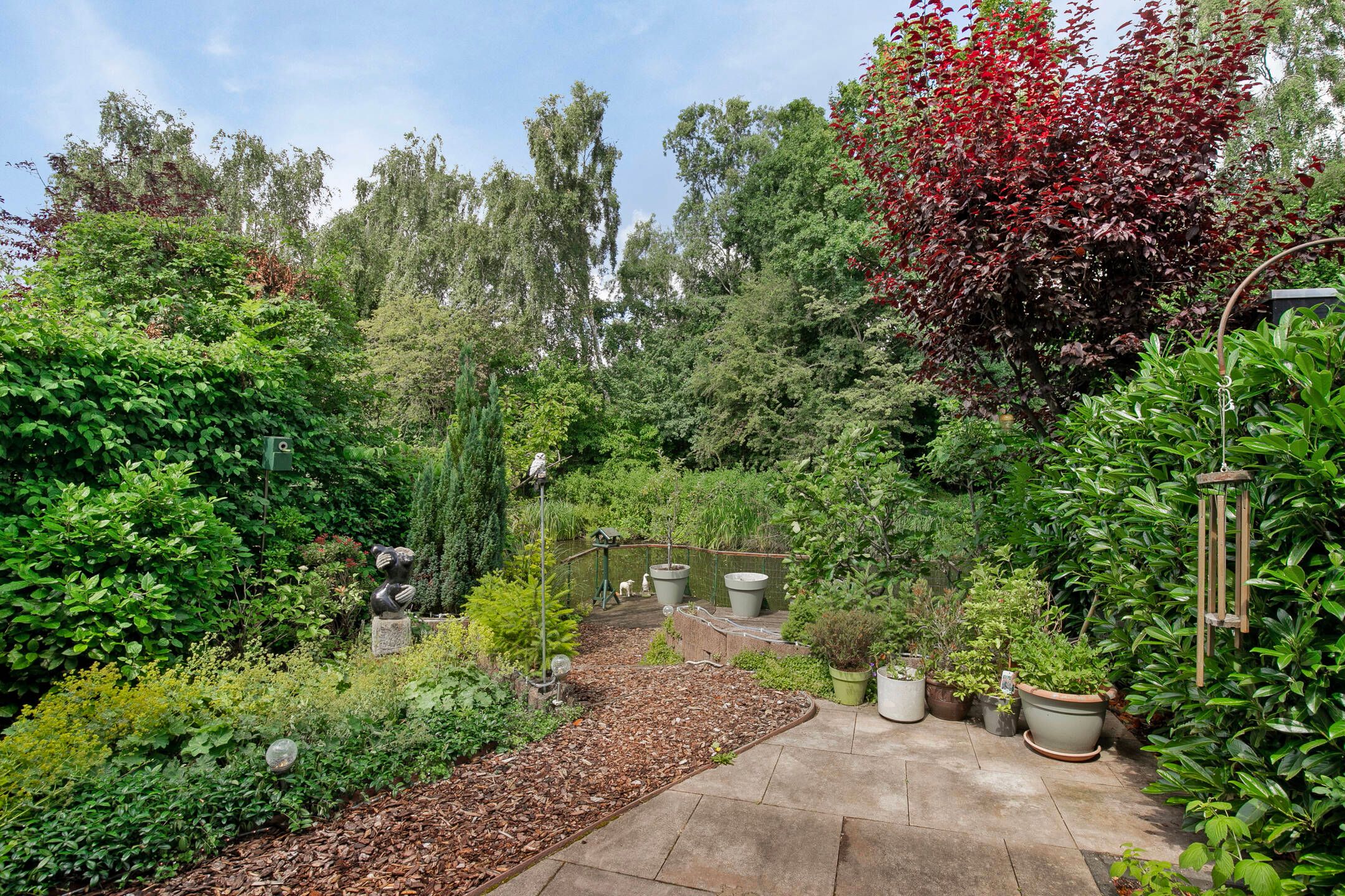 Foto 6 van Boterbloem 10