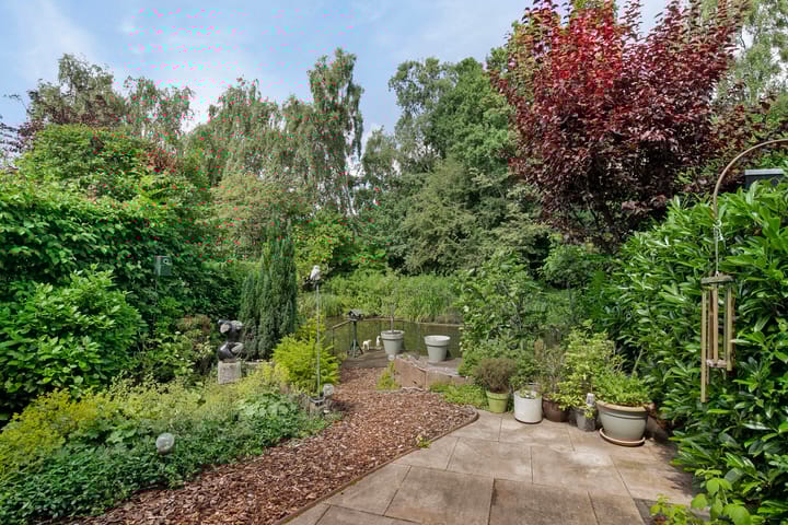 Photo 6 of Boterbloem 10