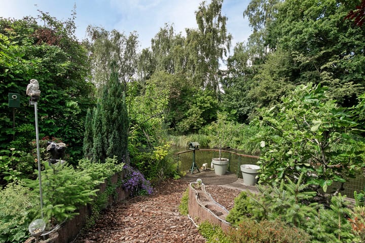 Photo 30 of Boterbloem 10