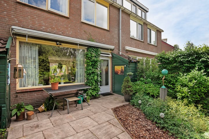 Photo 31 of Boterbloem 10