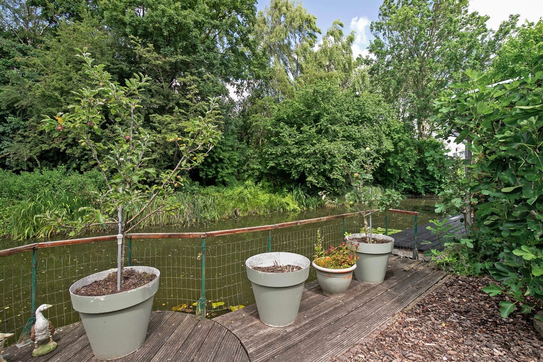 Foto 32 van Boterbloem 10