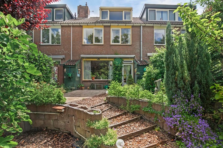 Photo 2 of Boterbloem 10