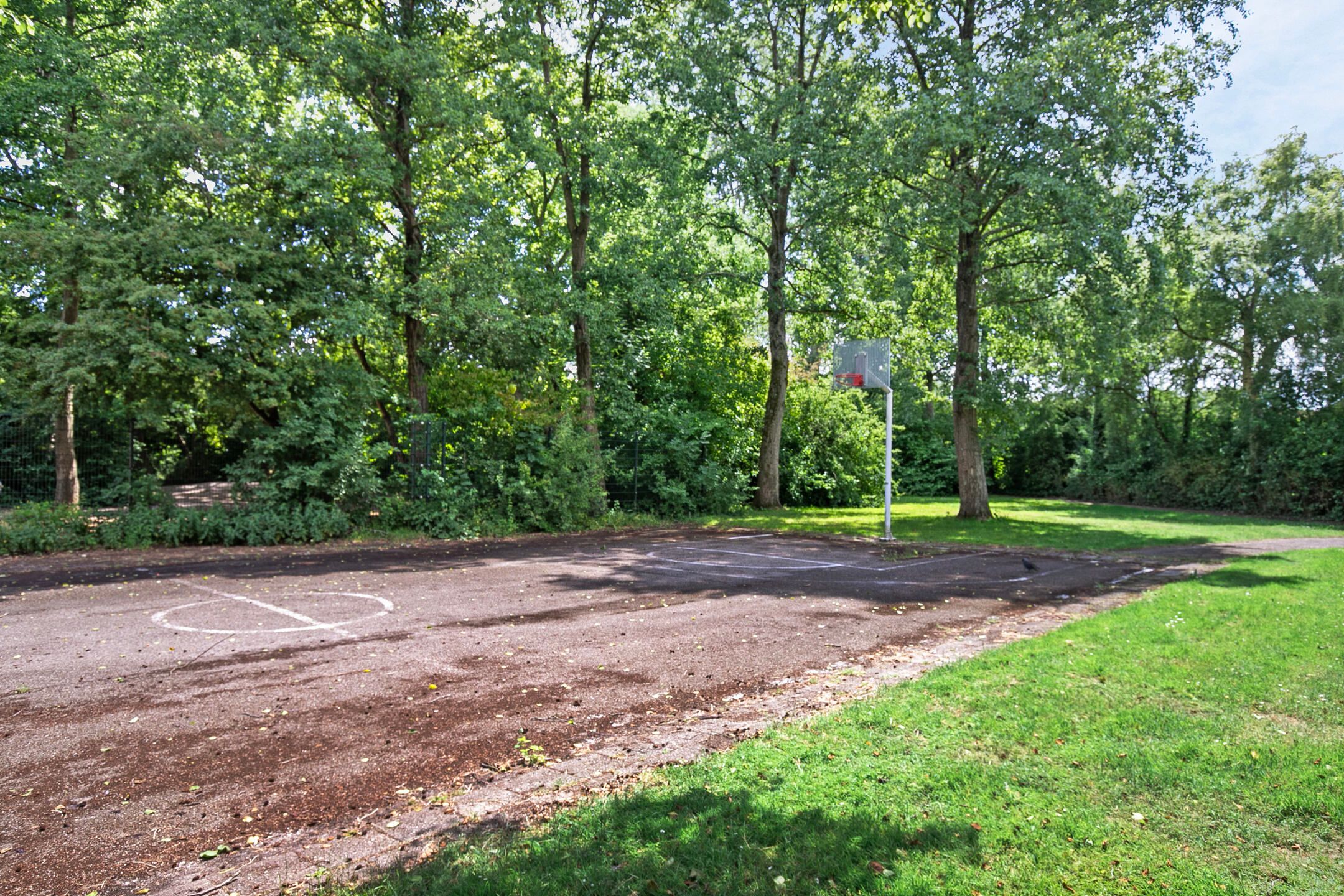 Foto 33 van Boterbloem 10