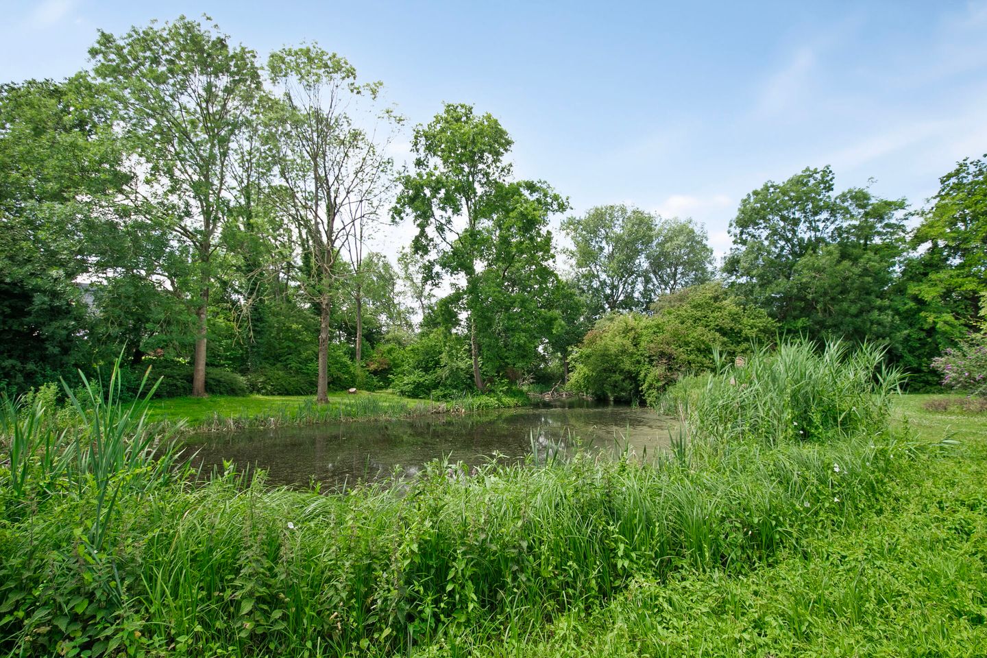 Foto 34 van Boterbloem 10