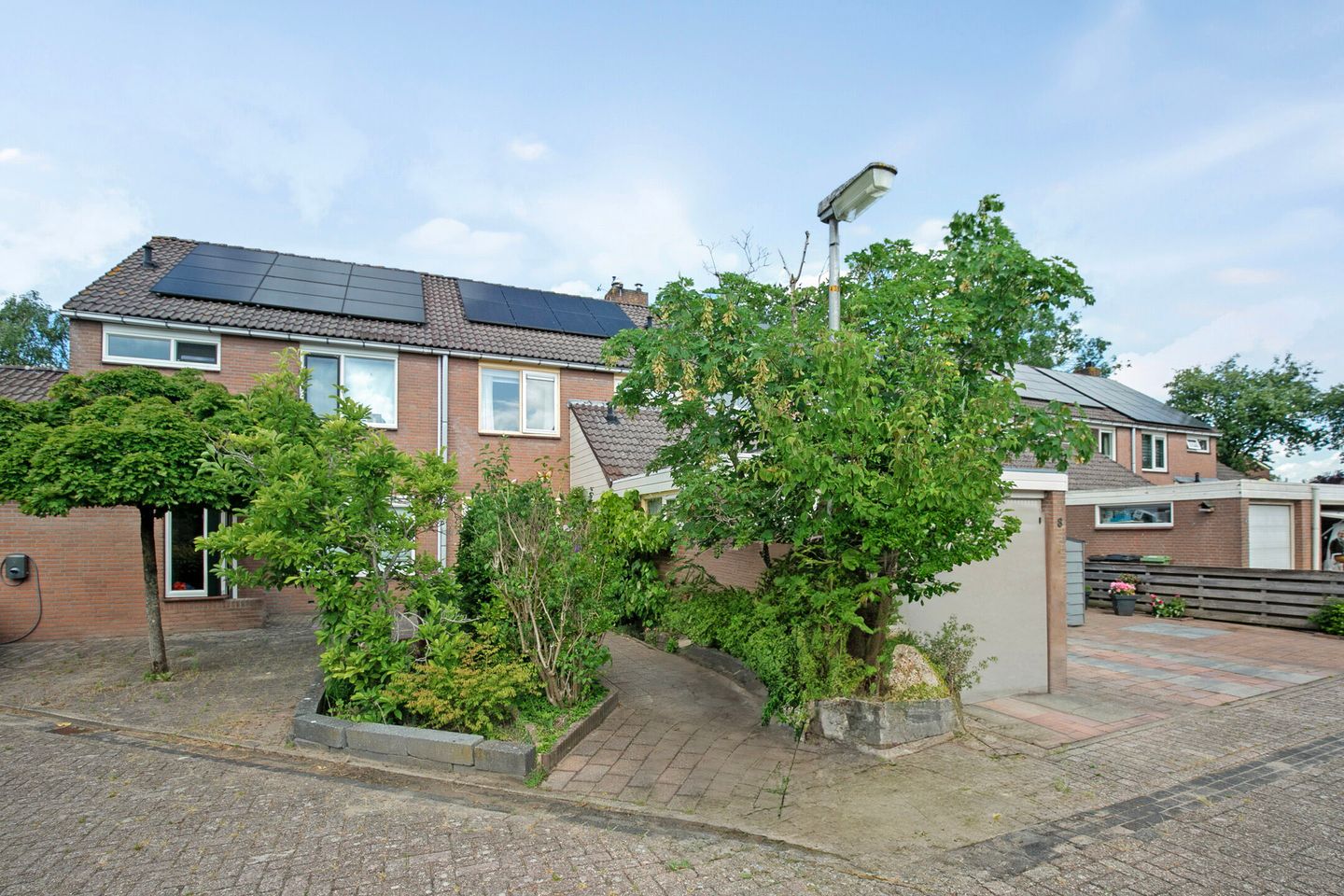 Photo 1 of Boterbloem 10