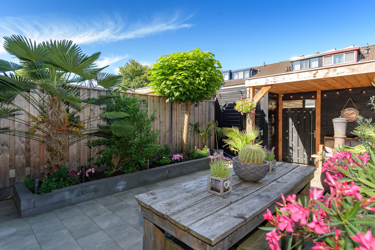 Foto 25 van Pachtersveld 206