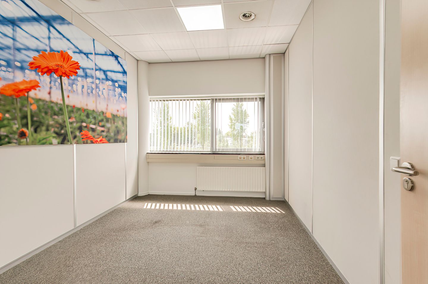 View photo 4 of Hogeweg 139-a