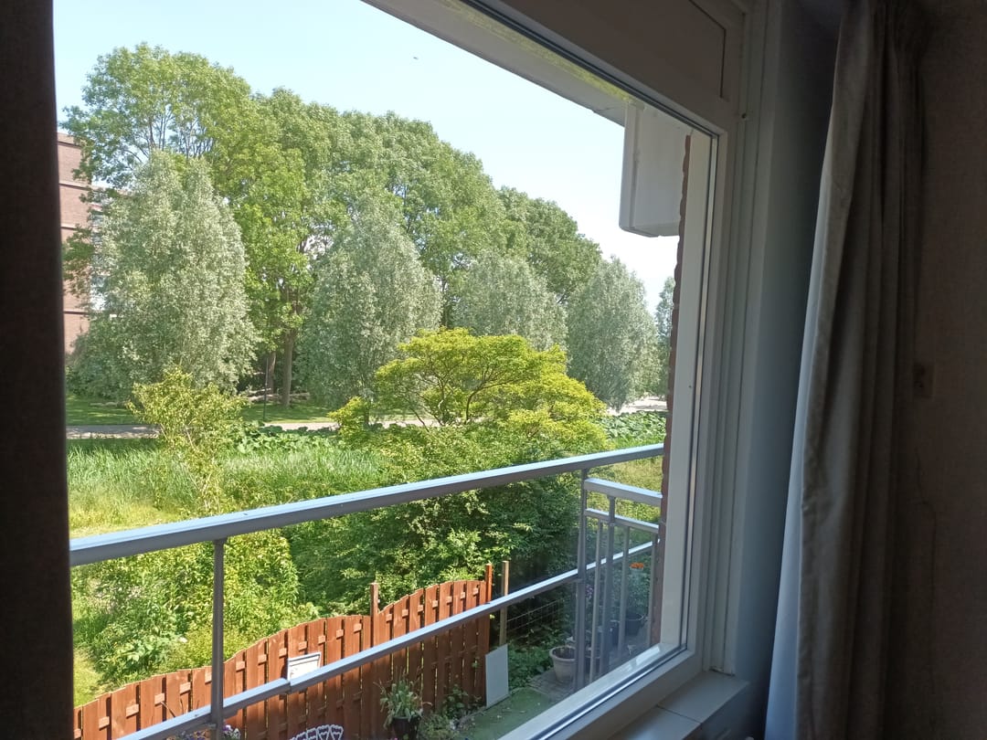 Foto 8 van Poolster 220