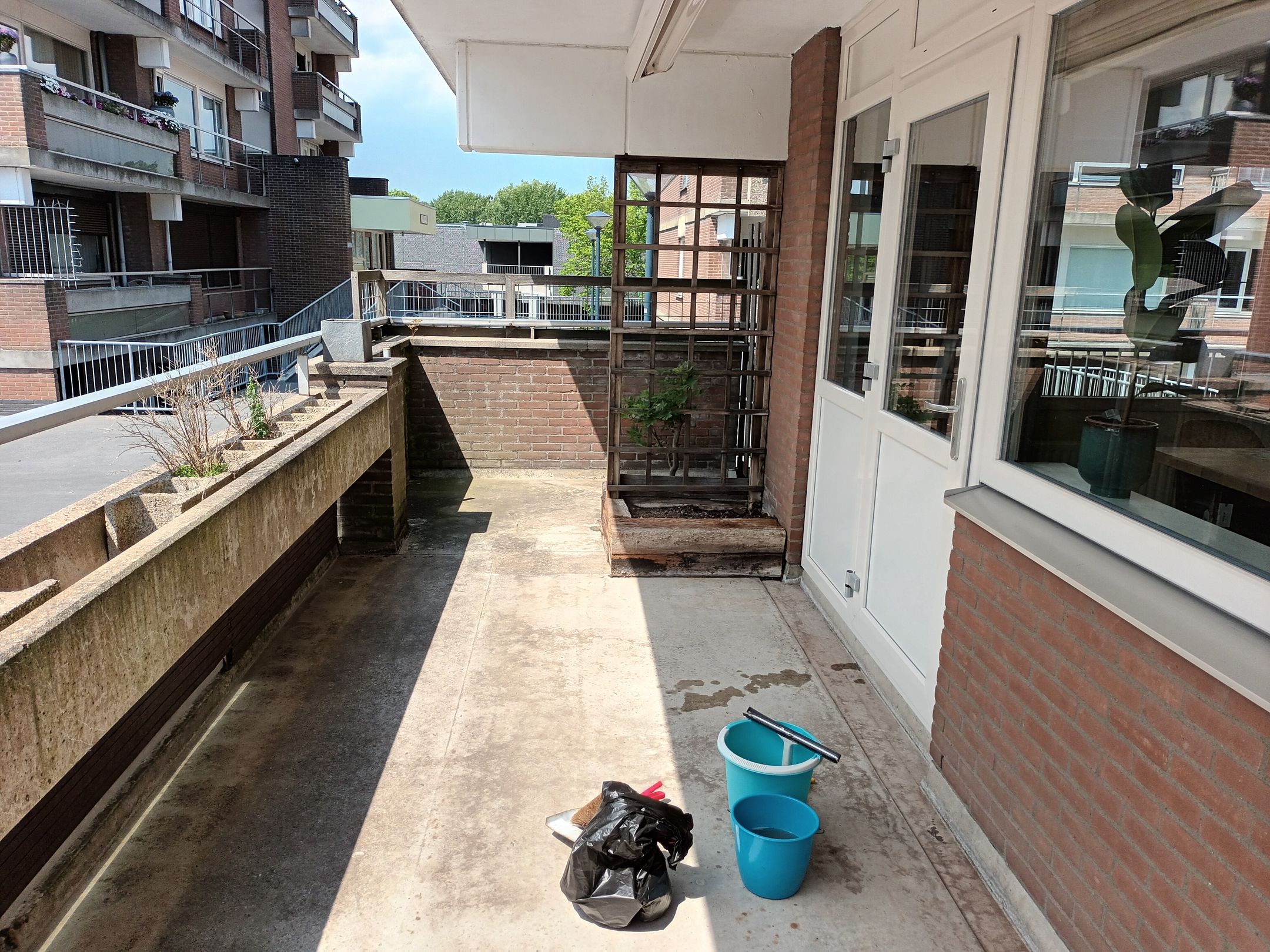 Foto 9 van Poolster 220