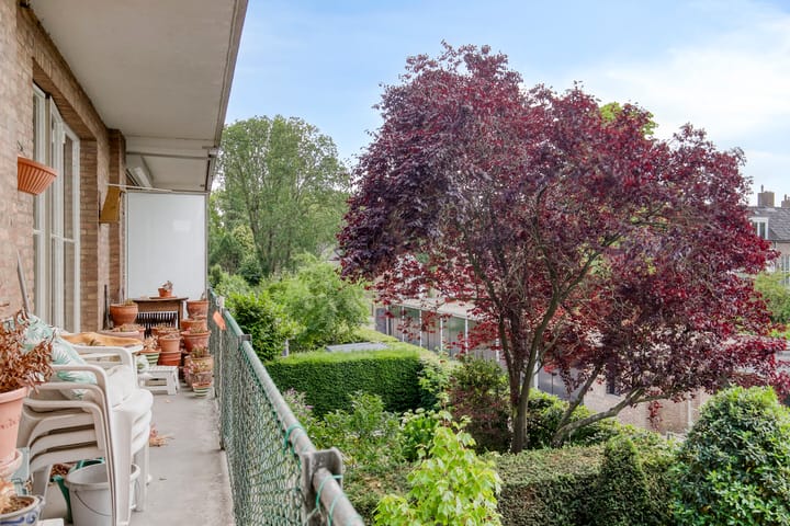 Foto 11 van Hertog Hendriksingel 64