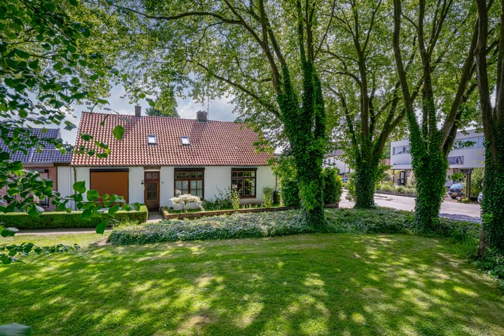 Foto 5 van Haspelstraat 1