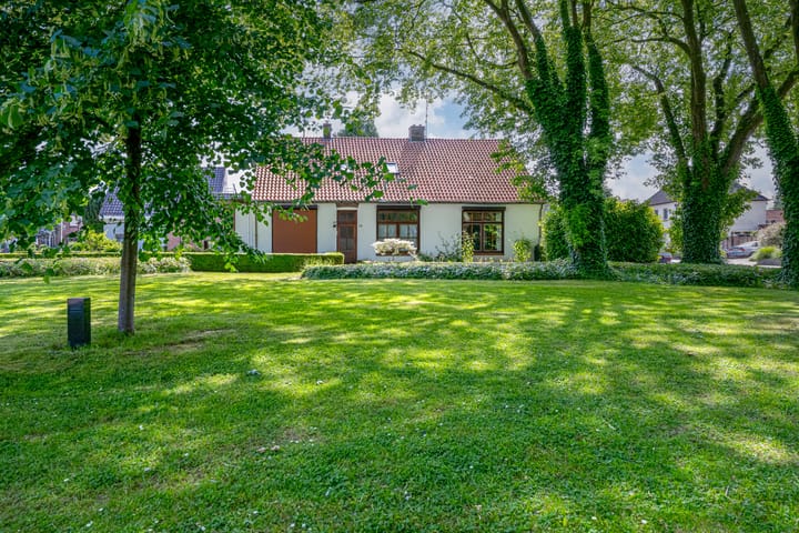 Foto 6 van Haspelstraat 1