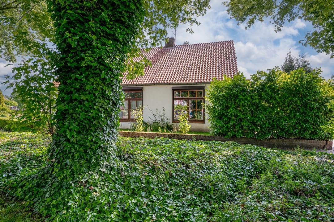 Foto 8 van Haspelstraat 1