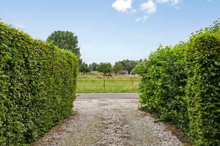 Foto 42 van Hosterdstraat 7