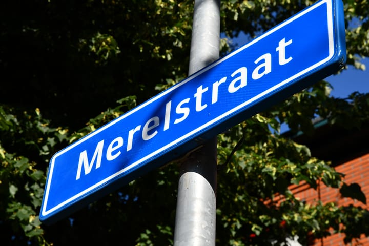 Foto 37 van Merelstraat 89