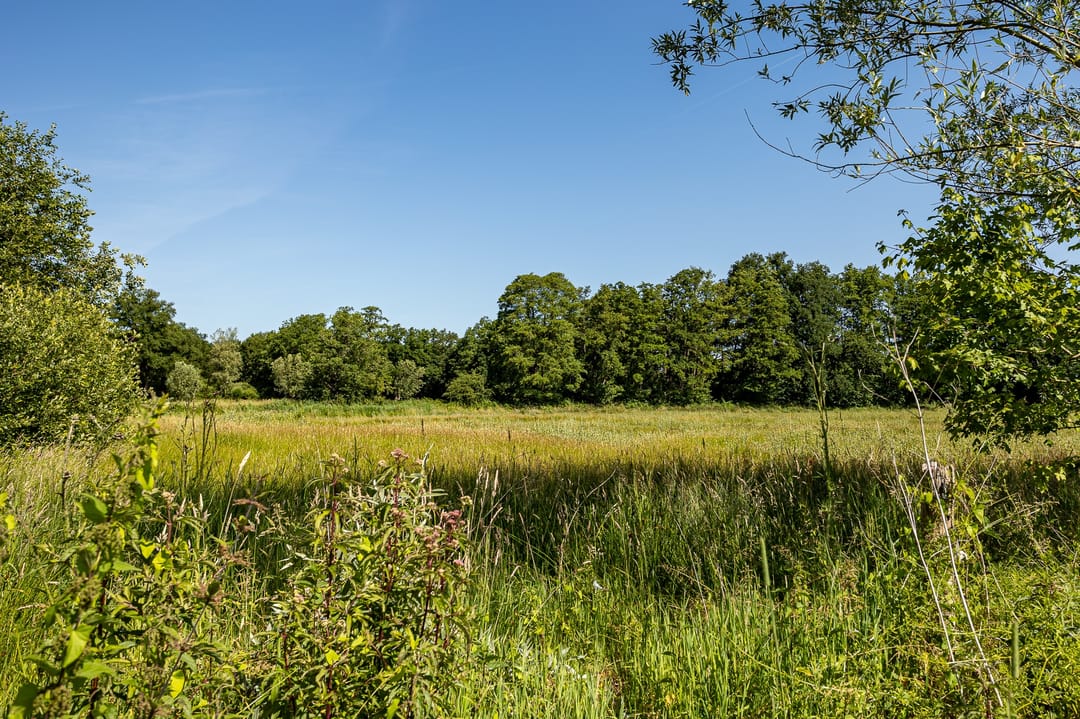 Foto 38 van Hogewaldseweg 1