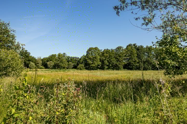 Photo 38 of Hogewaldseweg 1