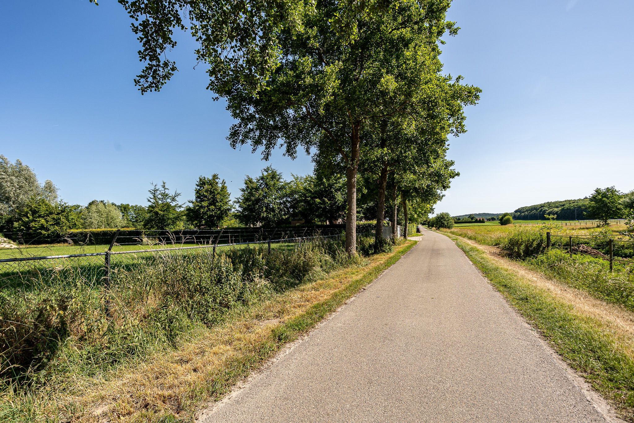 Hogewaldseweg false