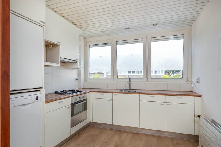 Foto 12 van De Thun 46