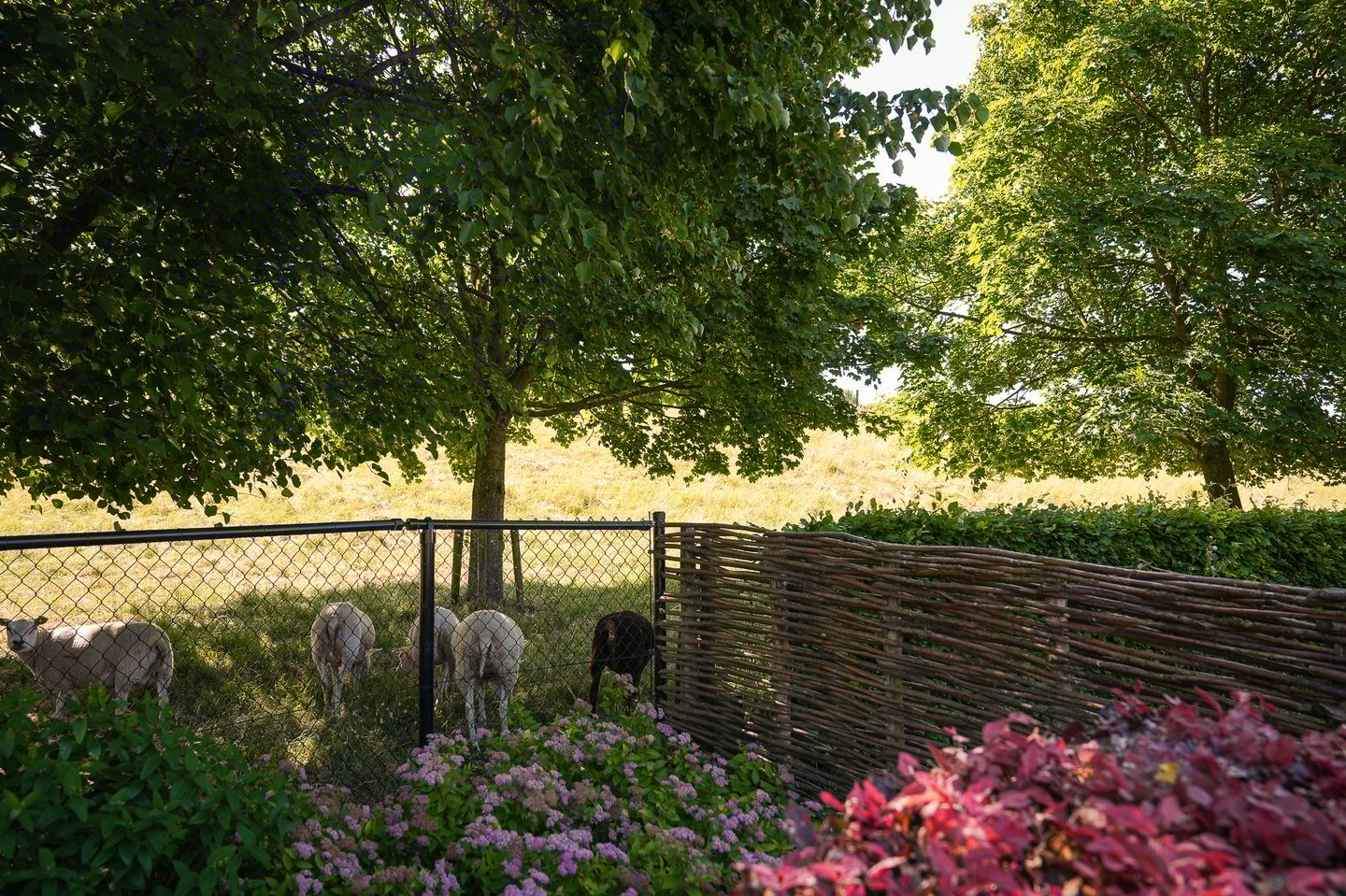 Foto 34 van Oranjestraat 33-A