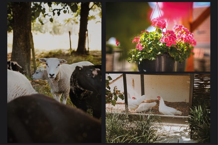 Foto 35 van Oranjestraat 33-A