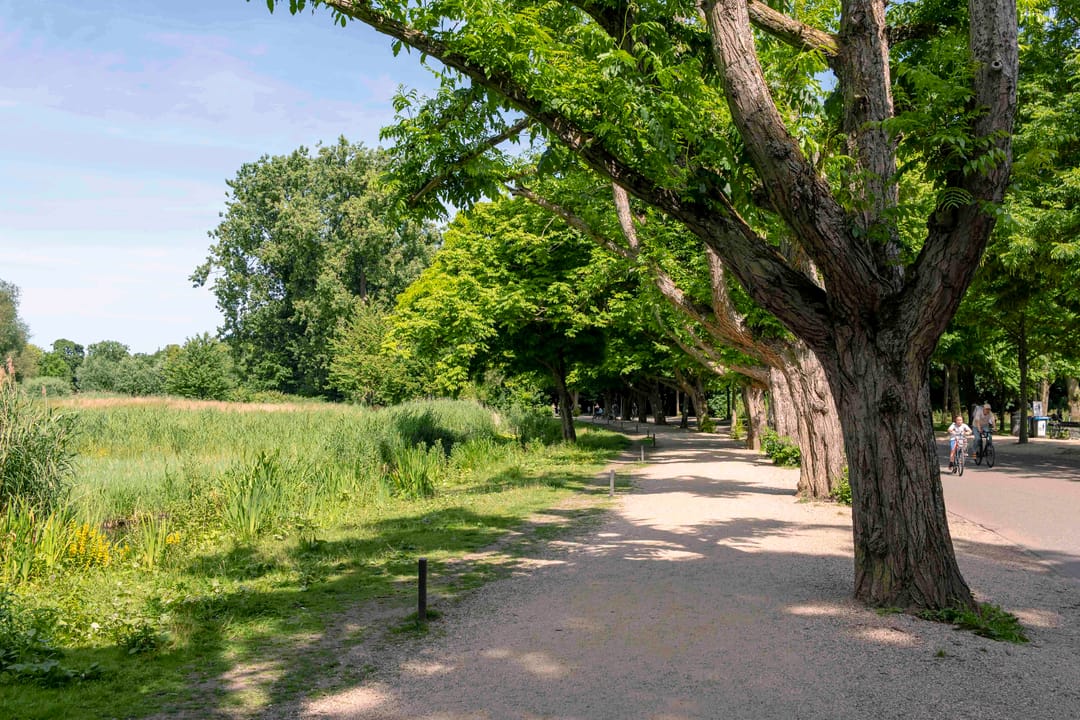 Foto 31 van Sluisstraat 16-3