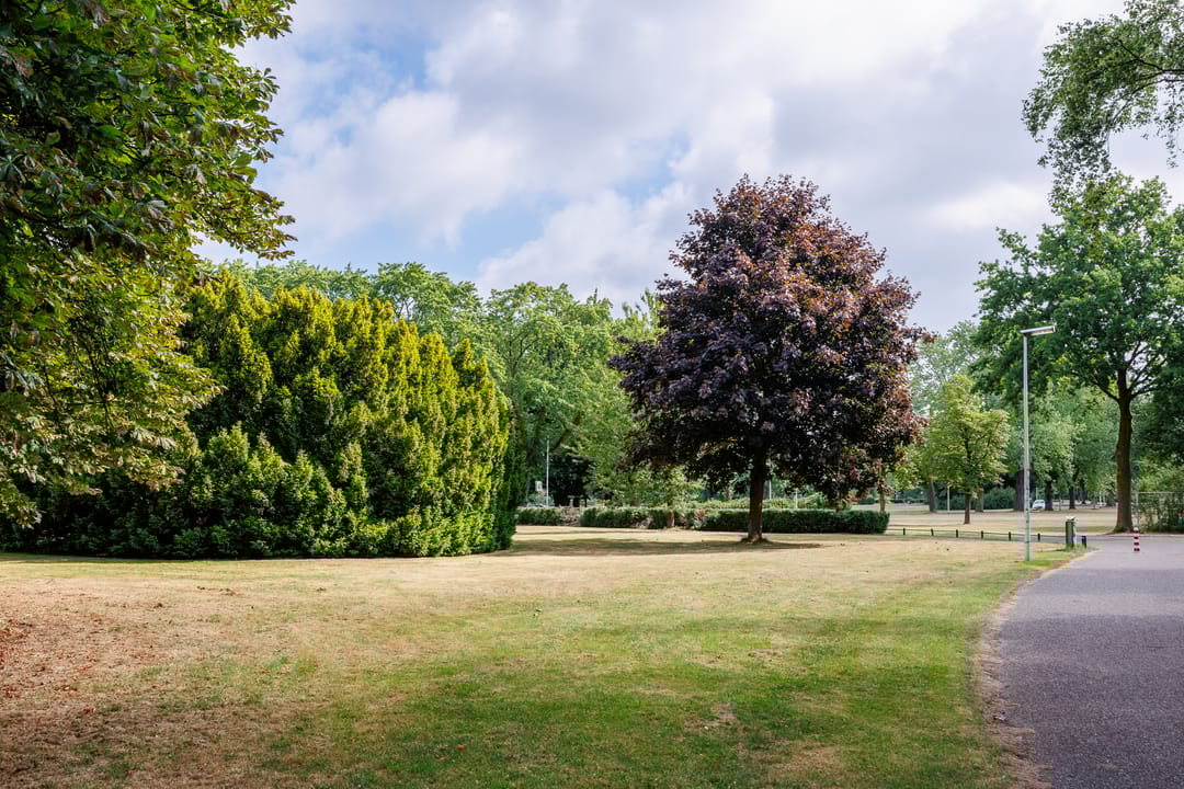 Foto 22 van Marie Curiestraat 17-E