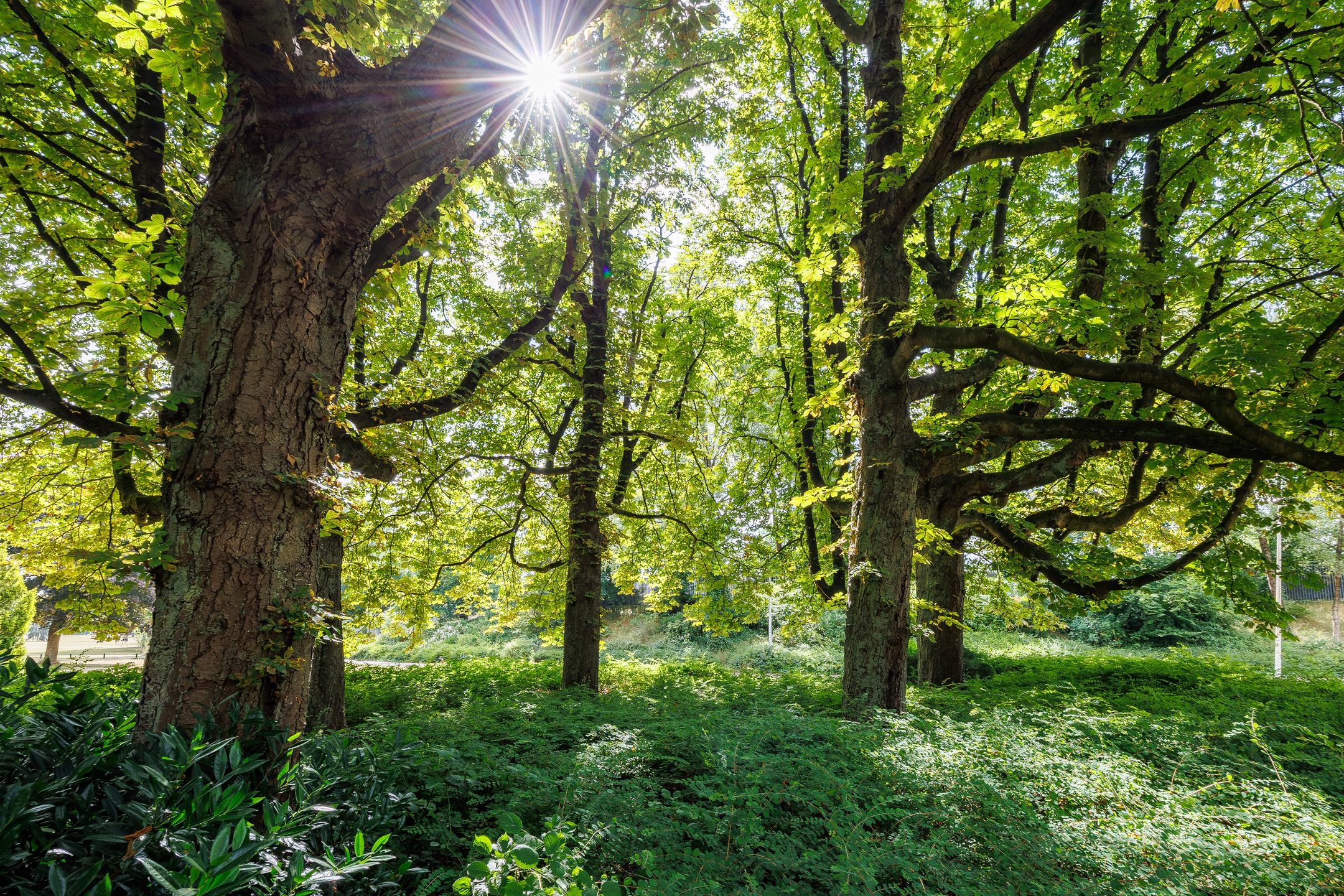 Foto 24 van Marie Curiestraat 17-E