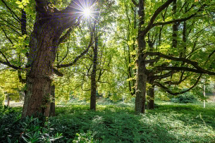 Foto 24 van Marie Curiestraat 17-E