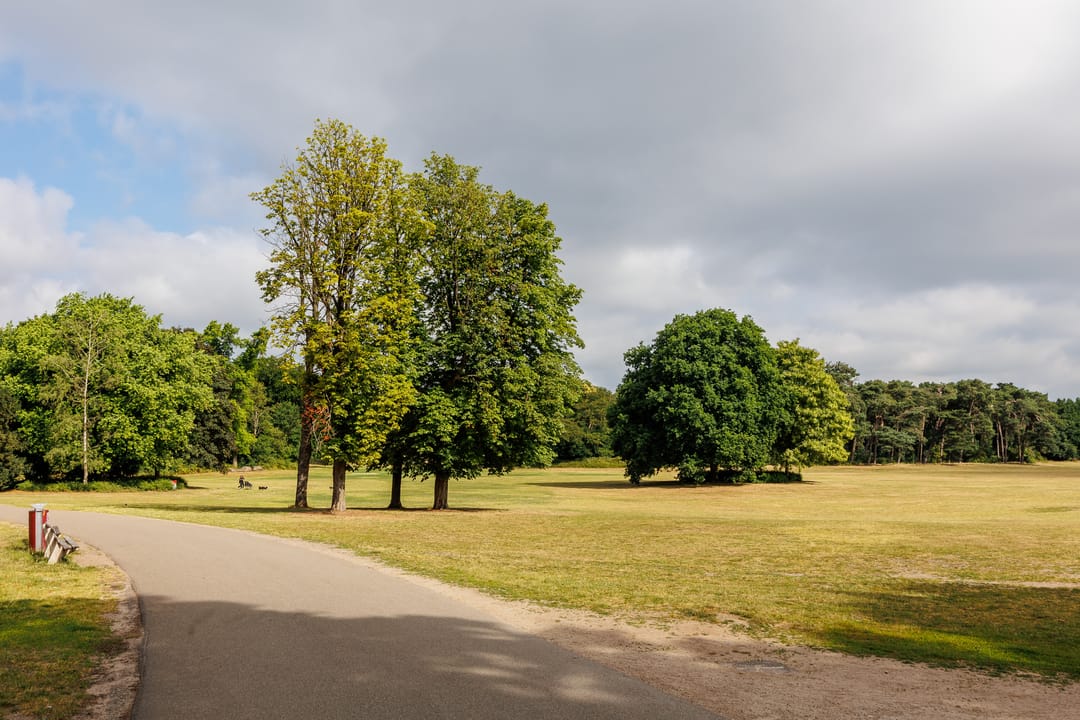 Foto 23 van Marie Curiestraat 17-E