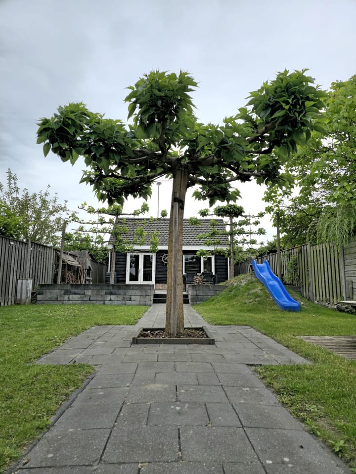 Foto 26 van Nazareth 17