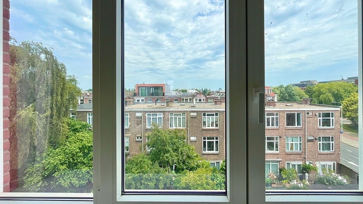 Foto 52 van Laan van Nieuw-Oost-Indië 272