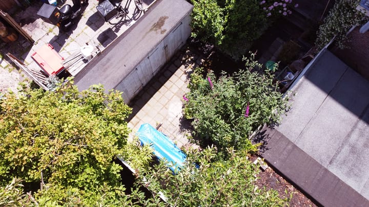 Foto 54 van Laan van Nieuw-Oost-Indië 272