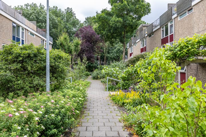 Foto 44 van Lichtboei 148