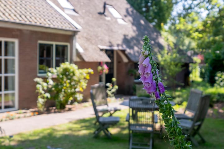 Foto 36 van Dorpsstraat 38