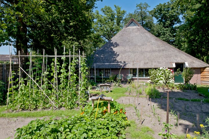 Foto 46 van Dorpsstraat 38