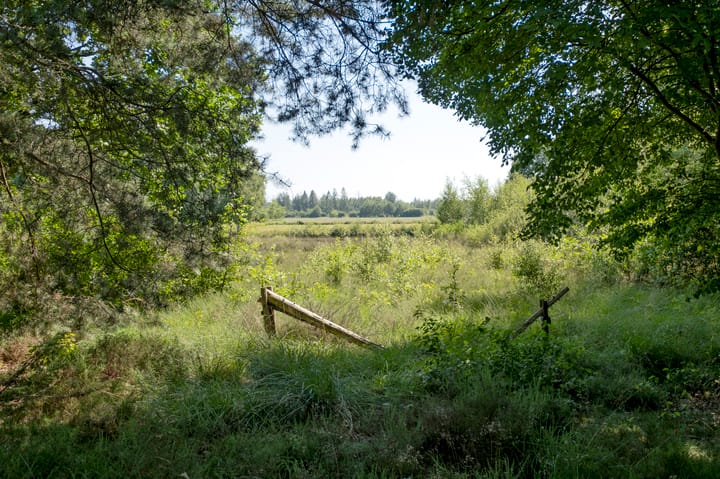 Foto 42 van Hendrik Reindersweg 28-100