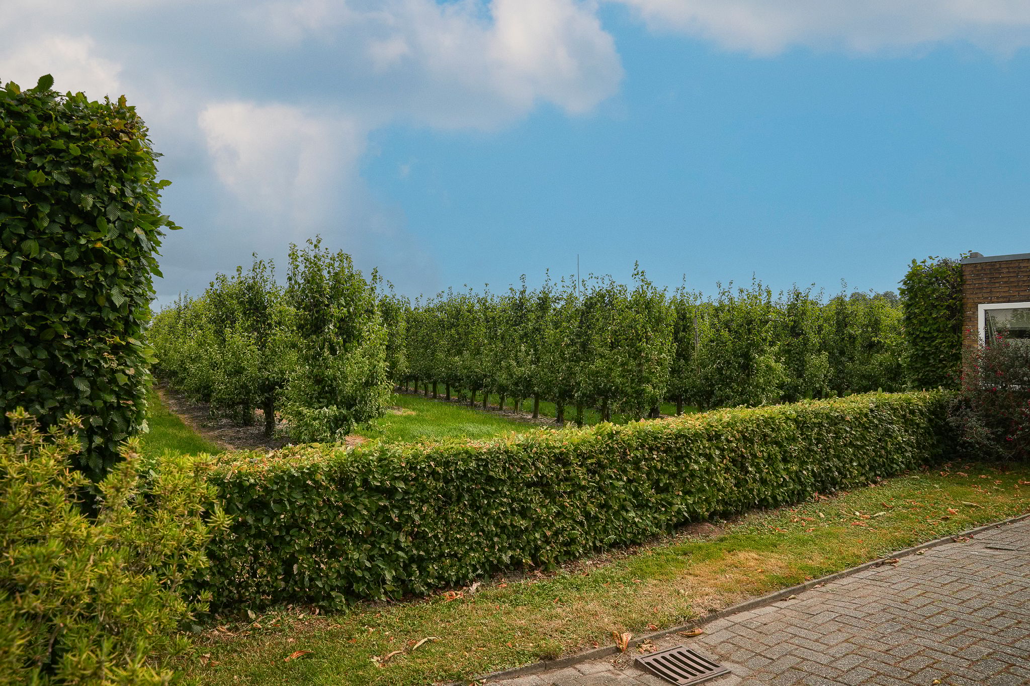 Foto 27 van Achterstraat 4