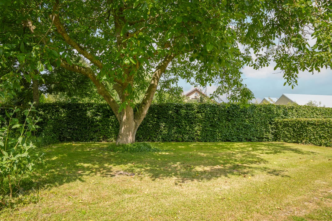 Foto 37 van Achterstraat 4