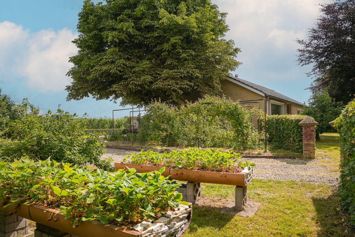 Foto 40 van Achterstraat 4