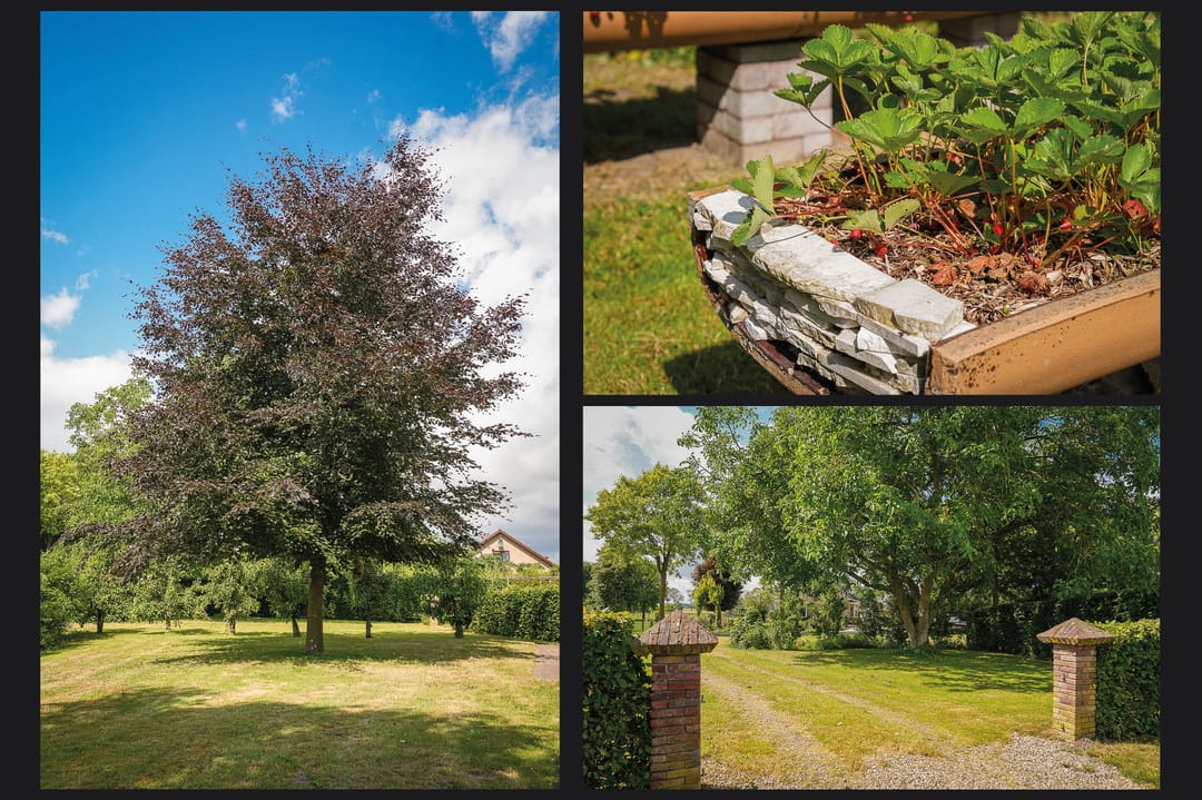 Foto 41 van Achterstraat 4