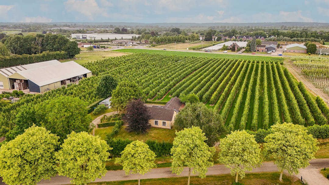 Foto 46 van Achterstraat 4